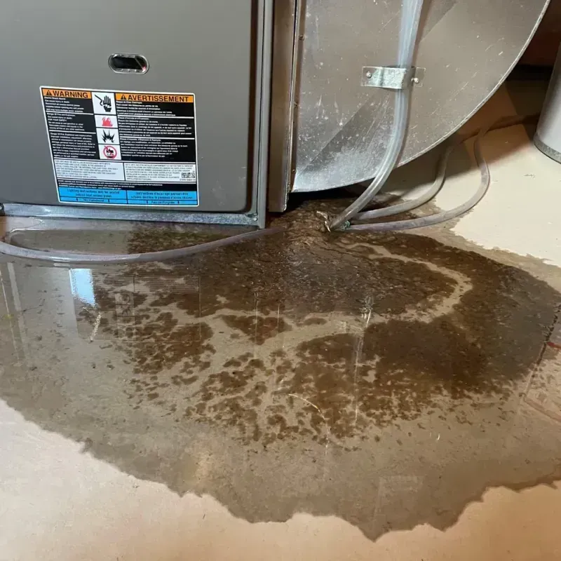 Appliance Leak Cleanup in Forest County, PA